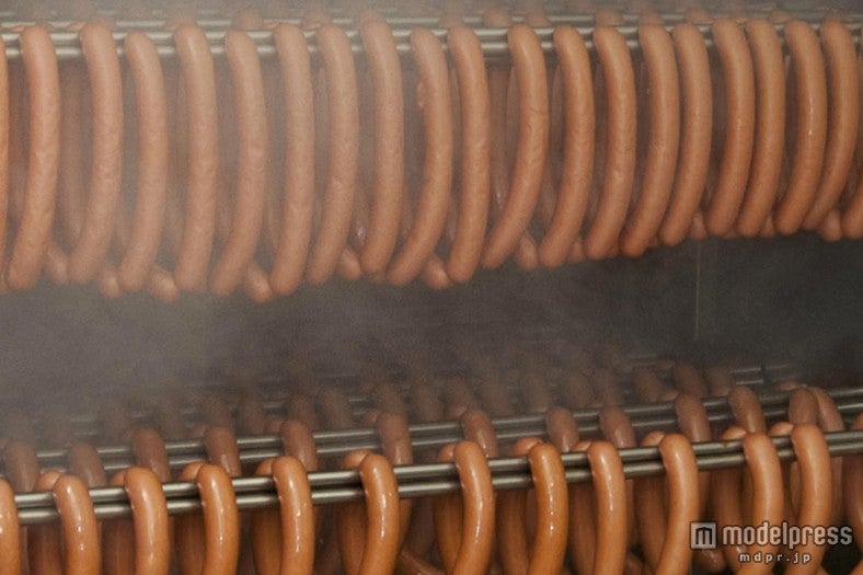 ドイツフェスティバル／画像提供：明治商工