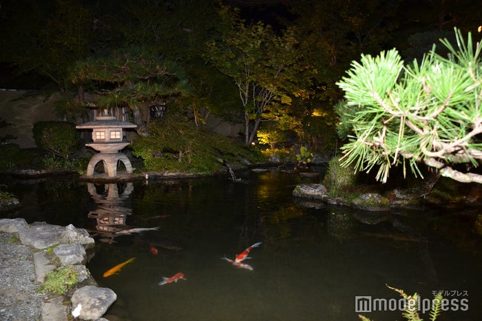 庭園レストランからの景色（C）ビューティーガール