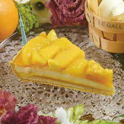 店舗限定「マンゴーとオレンジのレアチーズタルト」1カット¥712※8月末までの販売予定/画像提供:キル フェ ボン 東京スカイツリータウン・ソラマチ店【モデルプレス】