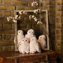 サクラ シロフクロウ ぬいぐるみ 2,600円(税込)/提供画像