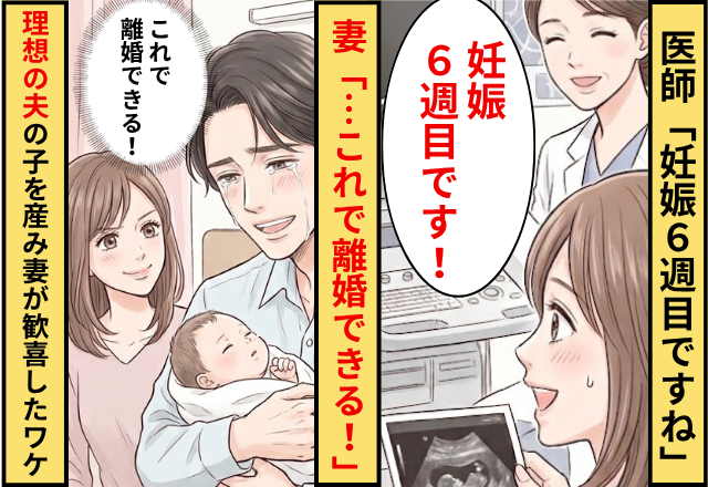 医師「妊娠6週目ですね」妻「…これで離婚できる！」⇒誰もが羨む夫の子を授かり、妻が大歓喜したワケ