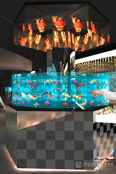 約2，000 匹の水生生物を展示する「Edorium」イメージ