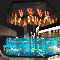 約2，000 匹の水生生物を展示する「Edorium」イメージ