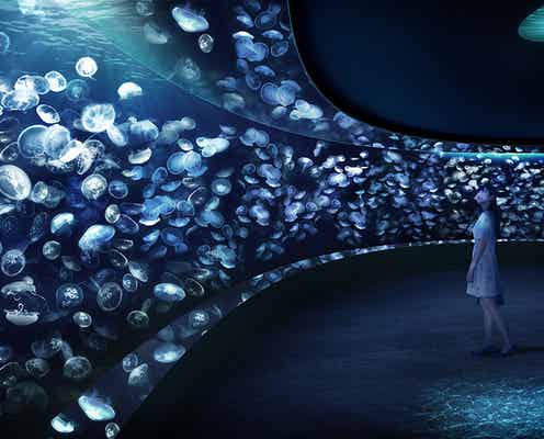 サンシャイン水族館に新クラゲエリア「海月空感」2020年誕生
