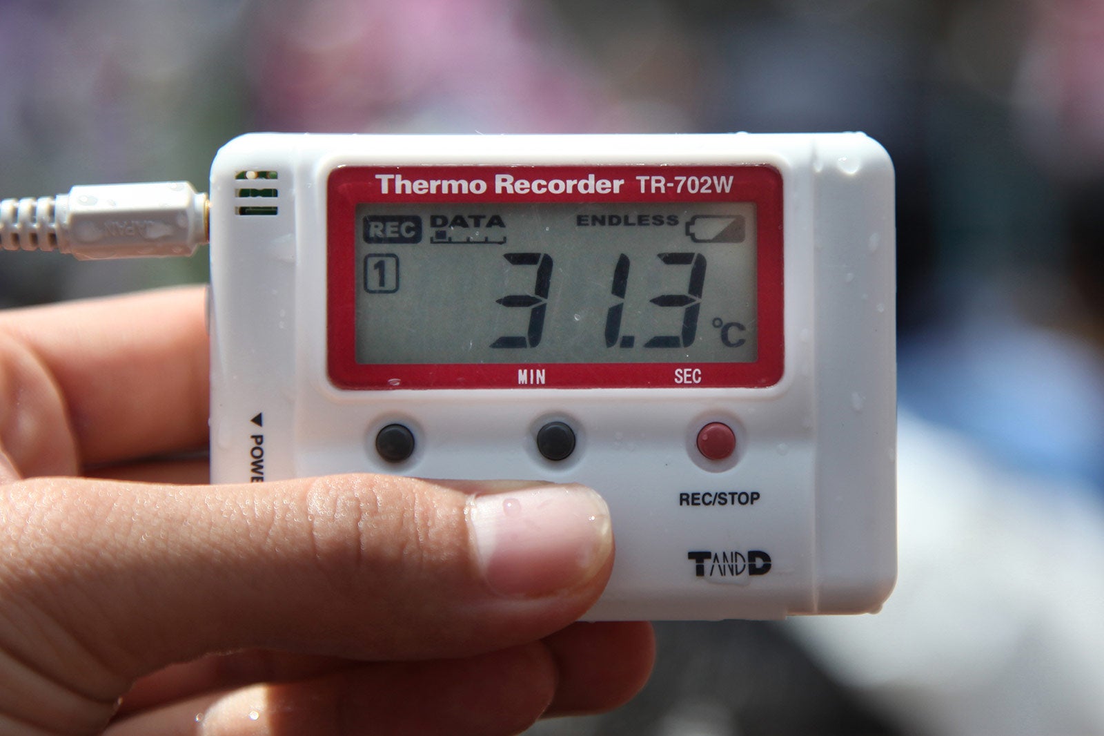 ／画像提供：ユー・エス・ジェイ