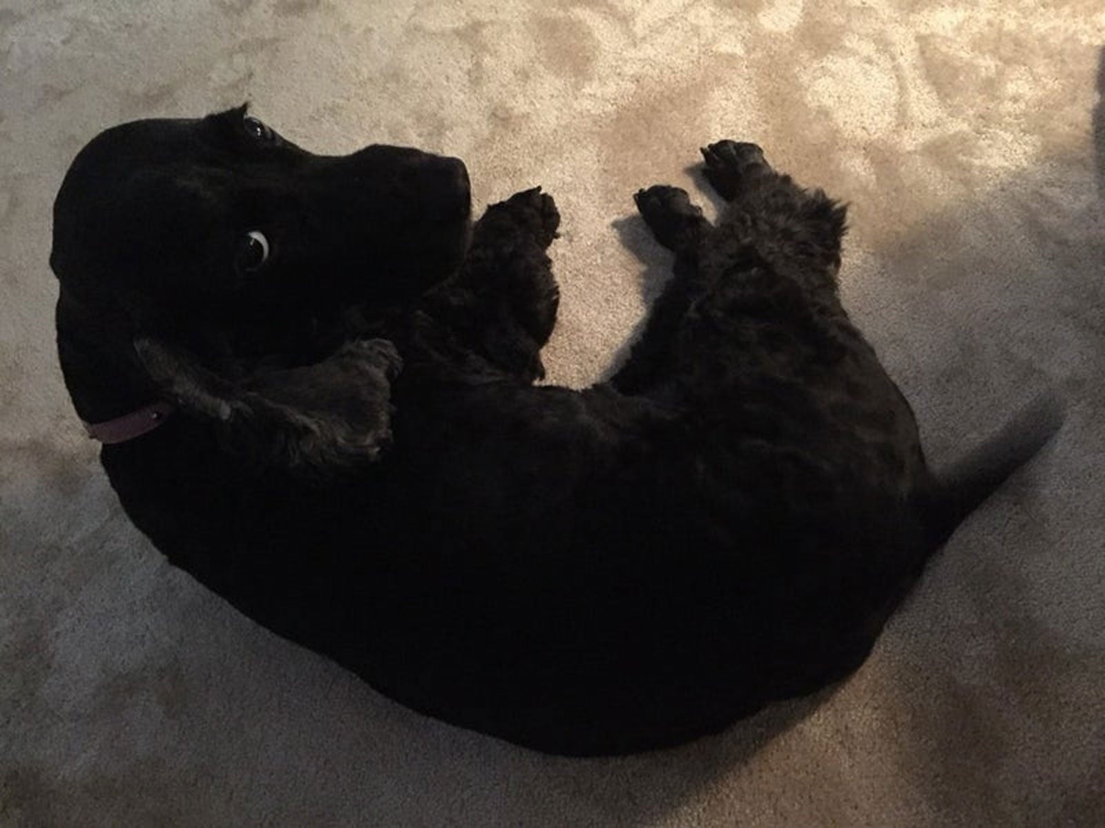 高橋克典オフィシャルブログ（提供写真）