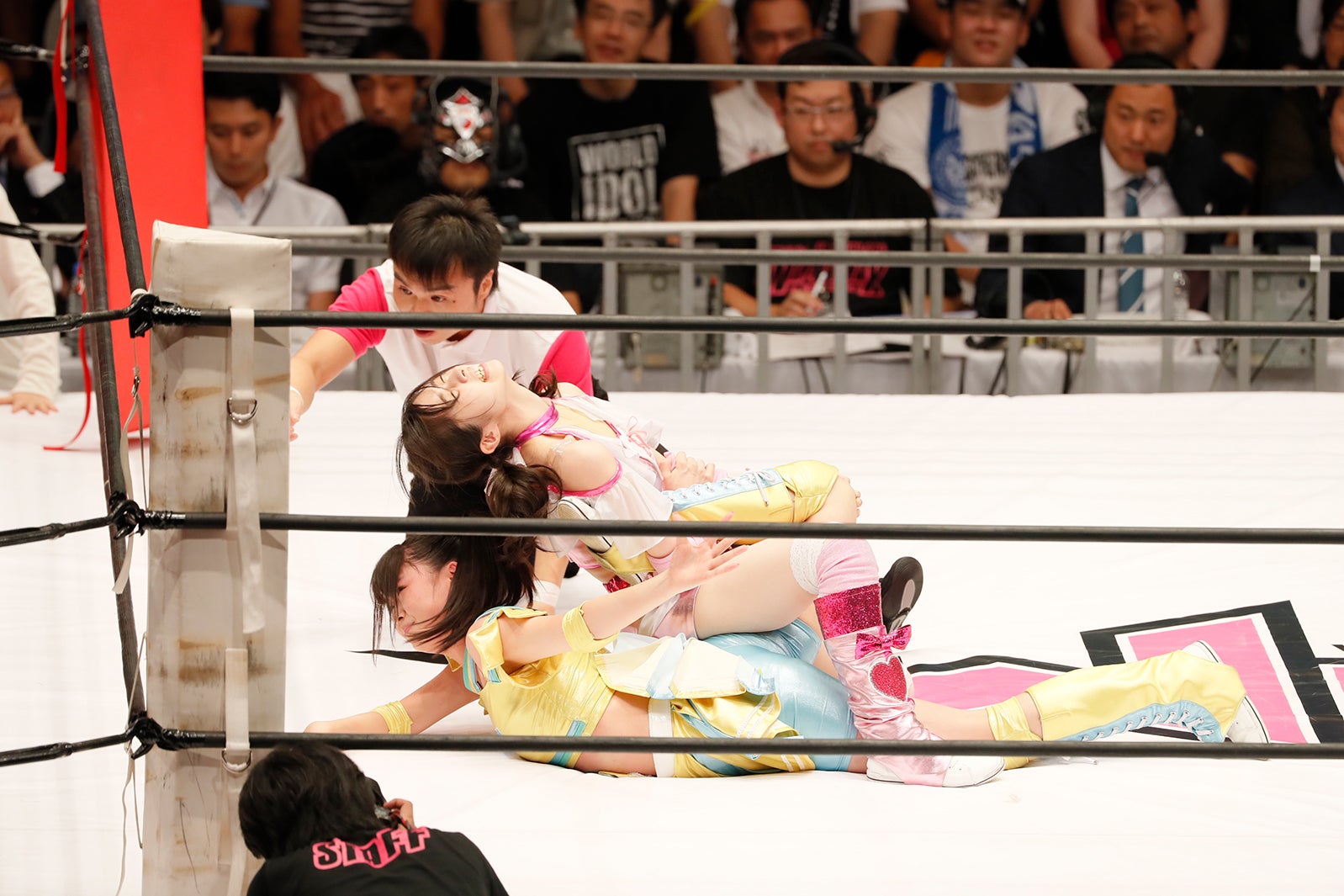 （C）WIP2017製作委員会（C）AKS