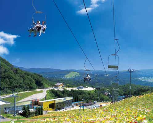 絶景!西日本最大級のゆり園「ダイナランドゆり園」でお花畑の上を空中散歩