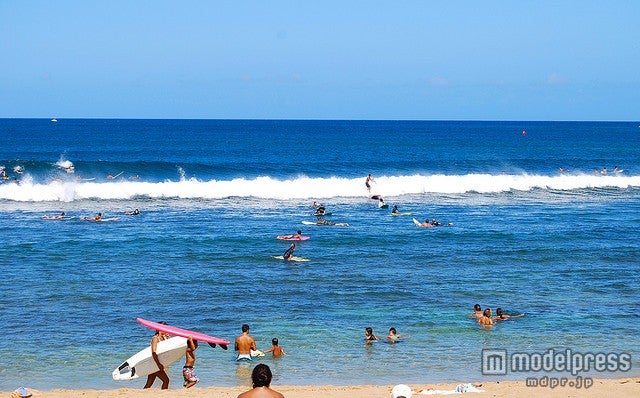 ロコがゆったりサーフィンを楽しむハレイワビーチパーク／photo by ninacoco