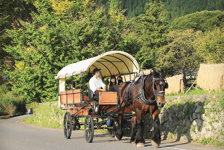 御三家宿で非日常を味わう 大分 湯布院 女子旅プレス