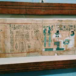 エジプト考古学博物館／画像提供：所属事務所