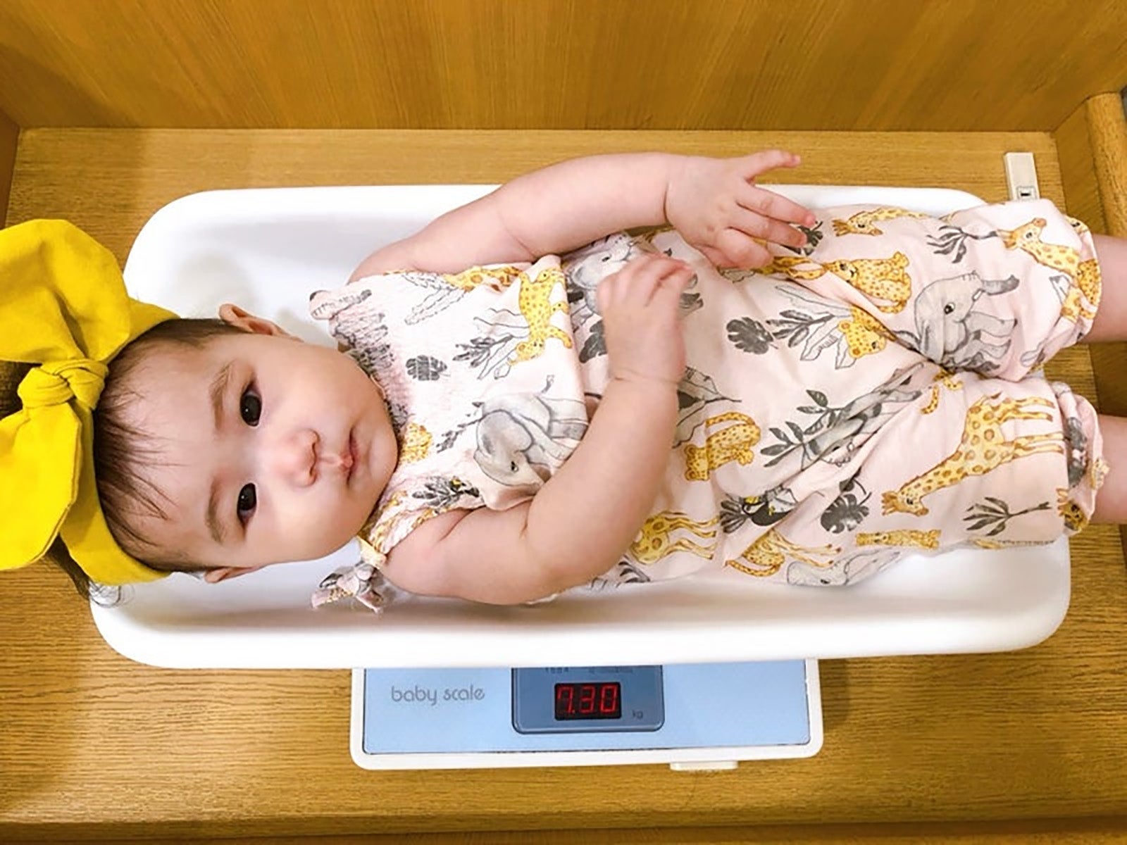 平野ノラ オフィシャルブログより