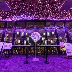 天の川イルミネーション/画像提供:東京タワー