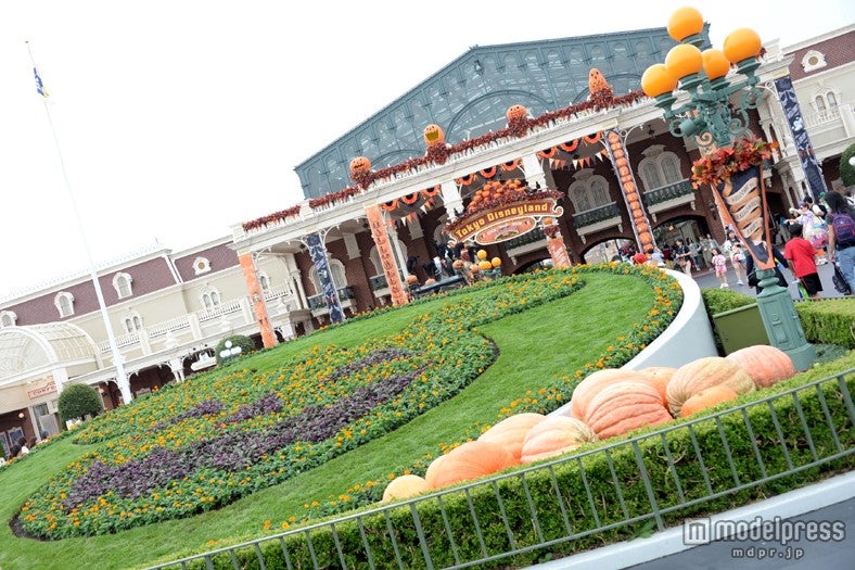 エントランスの花壇はパンプキンに（TDL）