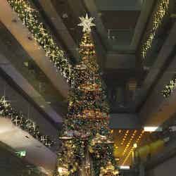表参道ヒルズクリスマスパース(イメージ)【モデルプレス】