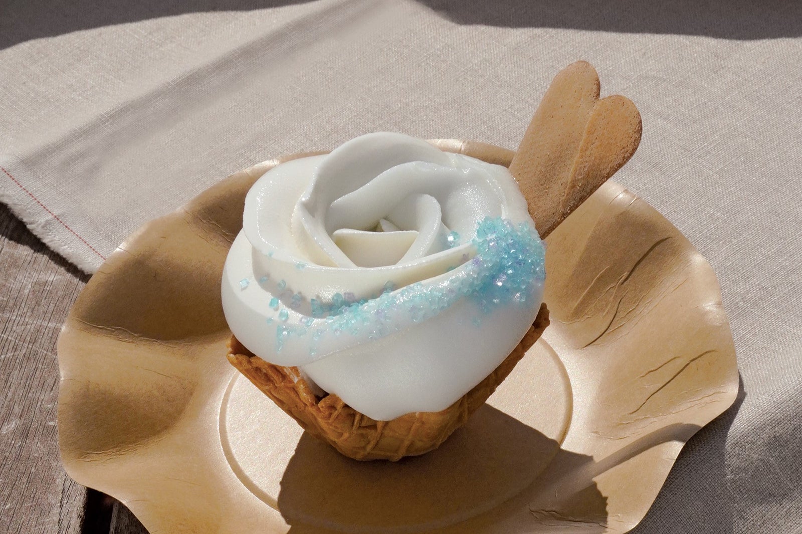 国営ひたち海浜公園／提供画像