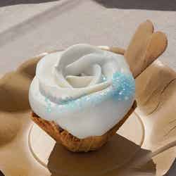 国営ひたち海浜公園/提供画像