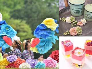 大きな花に囲まれたインスタ映えスポットに女子殺到!妖精気分を体験