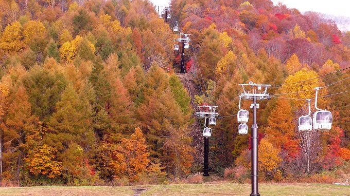 ここだけの黄金絶景 知る人ぞ知る 超穴場の紅葉スポットに注目 女子旅プレス