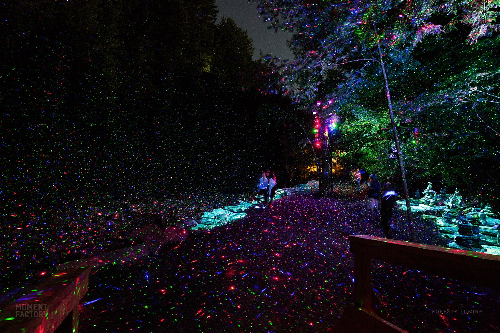 FORESTA LUMINAイメージ／画像提供：カトープレジャーグループ