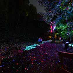 FORESTA LUMINAイメージ/画像提供:カトープレジャーグループ