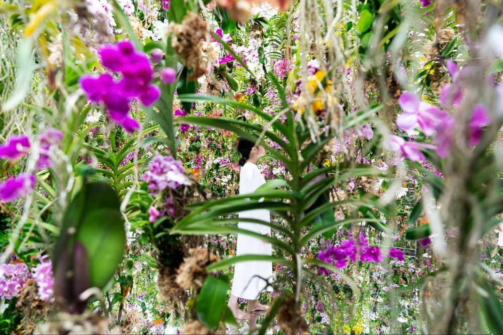 チームラボプラネッツ／画像提供：チームラボ