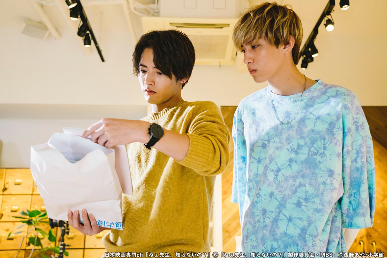 （左から）赤楚衛二、古川毅／「ねぇ先生、知らないの？」（C）「ねぇ先生、知らないの？」製作委員会・MBS（C）浅野あや／小学館