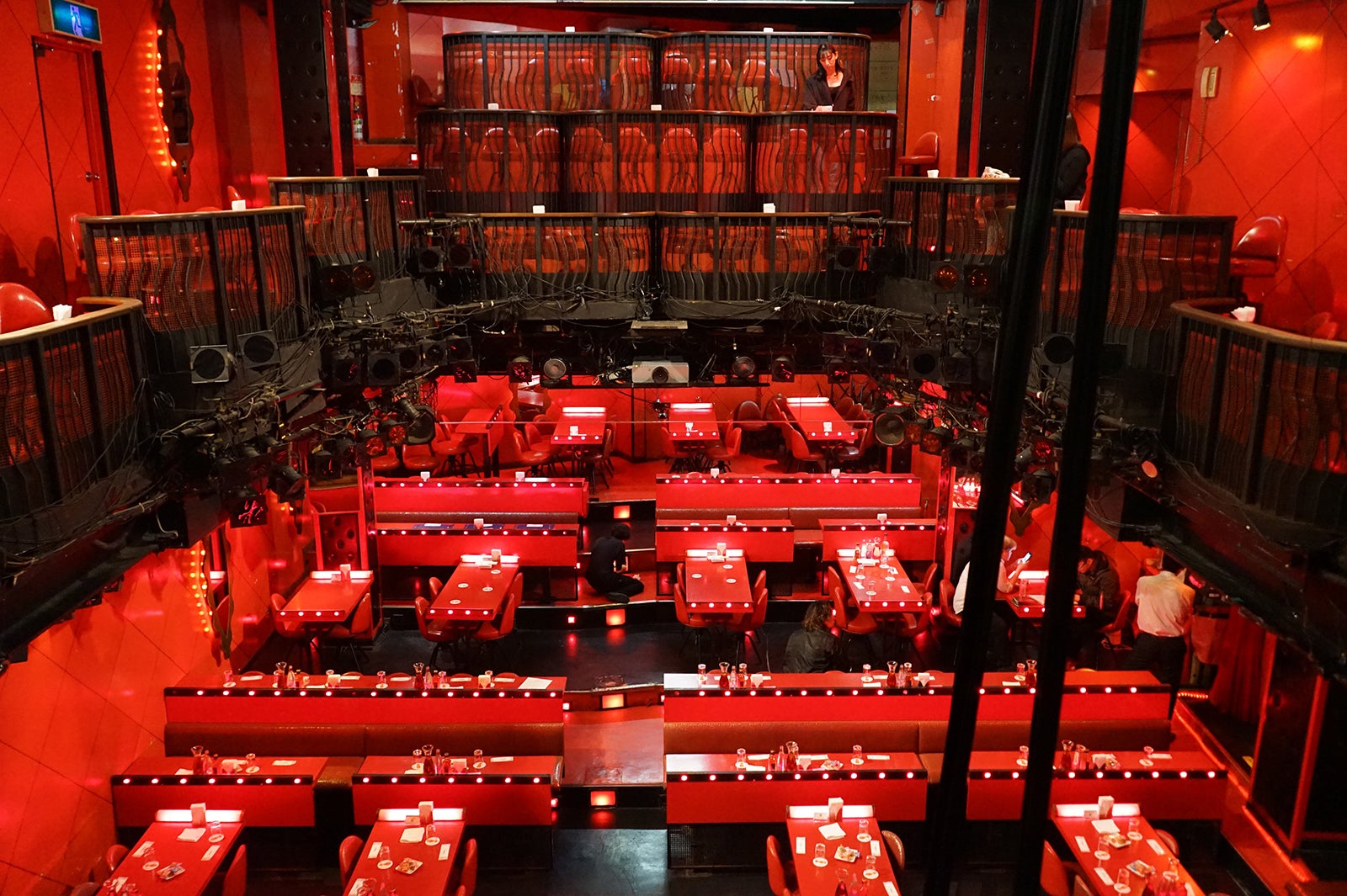 六本木金魚（画像提供：六本木金魚）