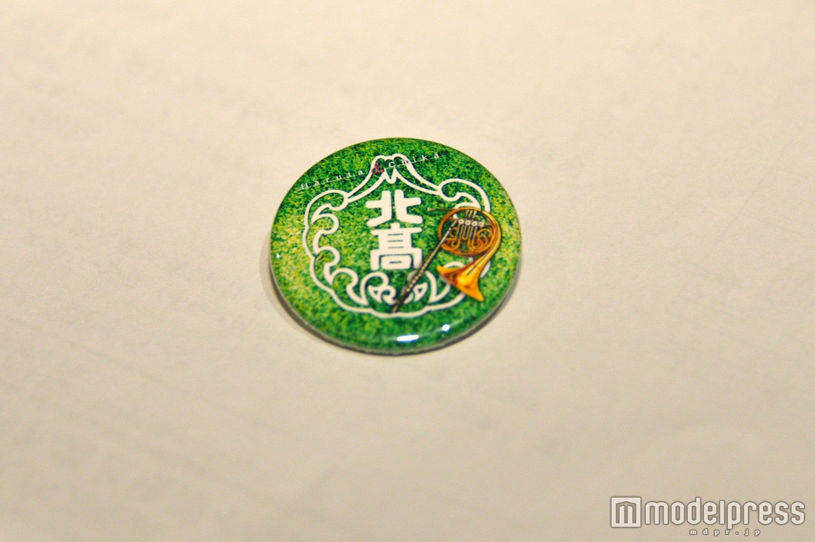 観客へプレゼントした缶バッヂ（C）モデルプレス