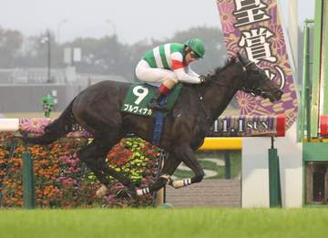 【アルテミスS】1番人気プルヴィナルが無傷2連勝で重賞初制覇 ルメールが大胆まくりを決める 「トップレベルに行けそう」