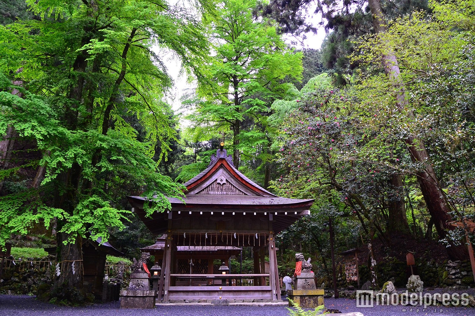 奥宮（C）モデルプレス