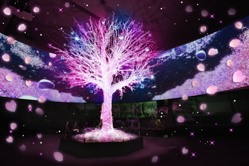 「アクアミュージアム」に出現した新たなお花見スポット・はじまりの木～SAKURA～／画像提供：横浜八景島