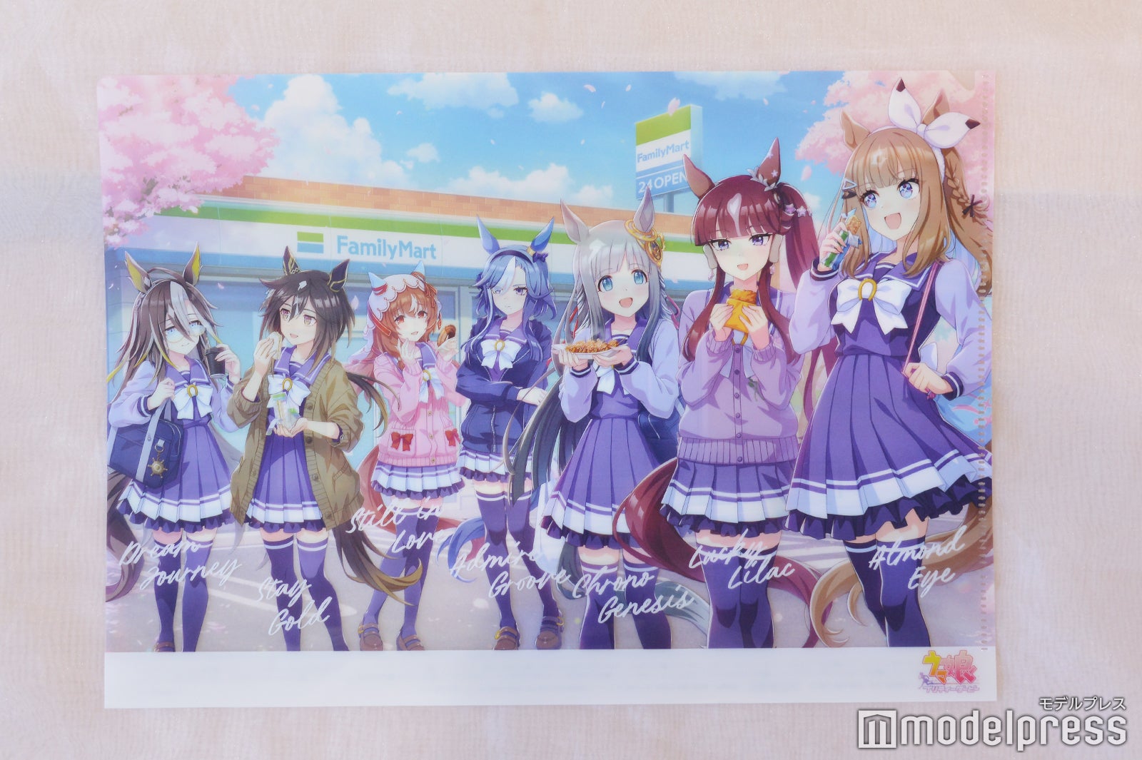 オリジナルA4マジッククリアファイル（C）モデルプレス