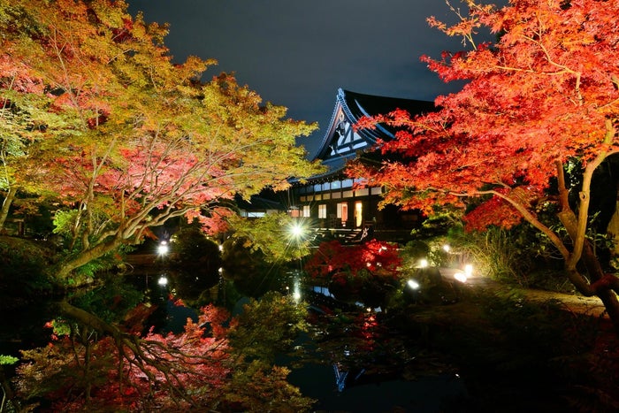 夜間大方丈／写真　水野克比古