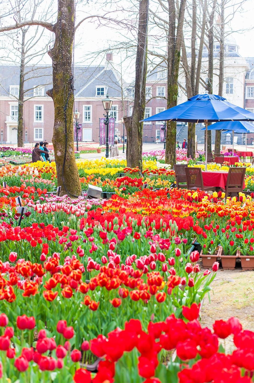 パレス ハウステンボス／画像提供：ハウステンボス