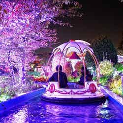 光の遊園地/画像提供:京阪電気鉄道