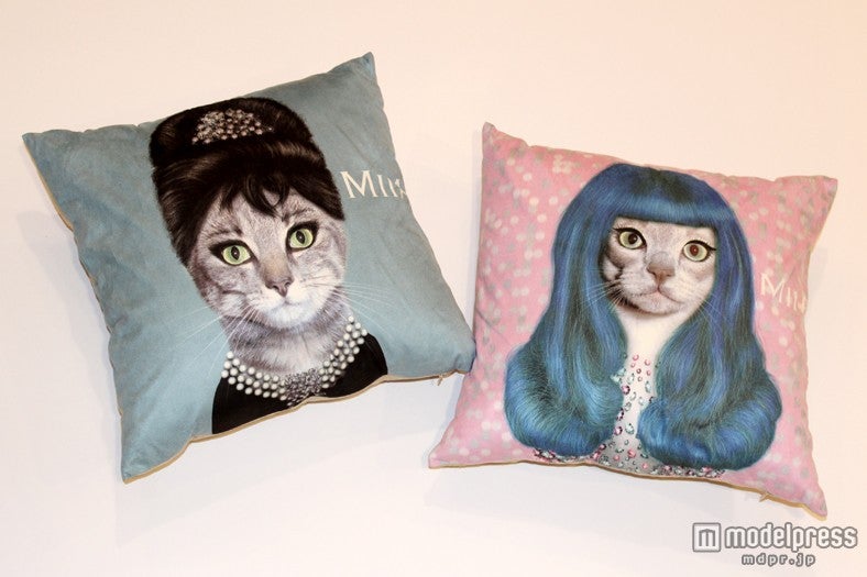 おしゃれ女子に“可愛すぎる”と話題のセレブ猫登場