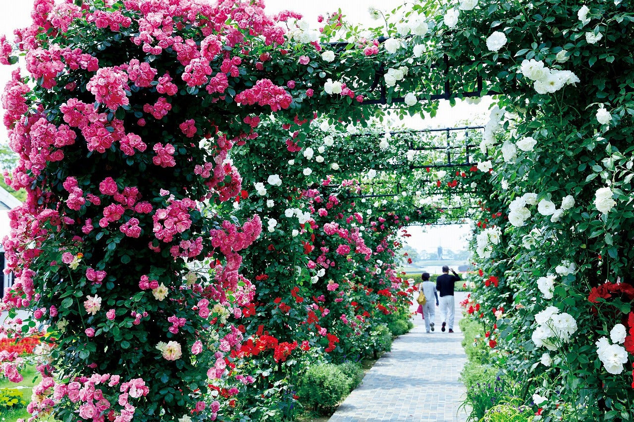 回廊／画像提供：ハウステンボス