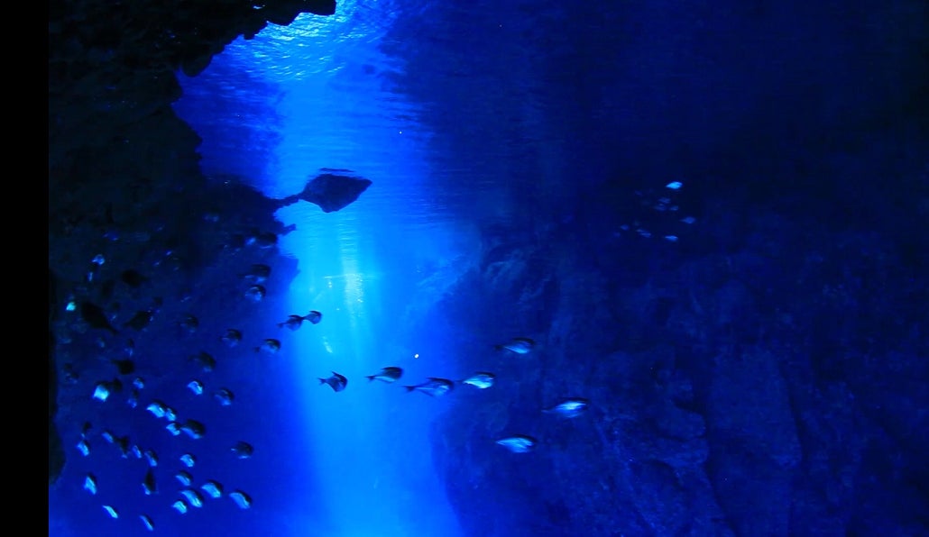 ロタホール（ロタ島）／画像提供：マリアナ政府観光局