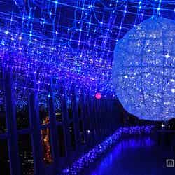 大展望台/画像提供:東京タワー