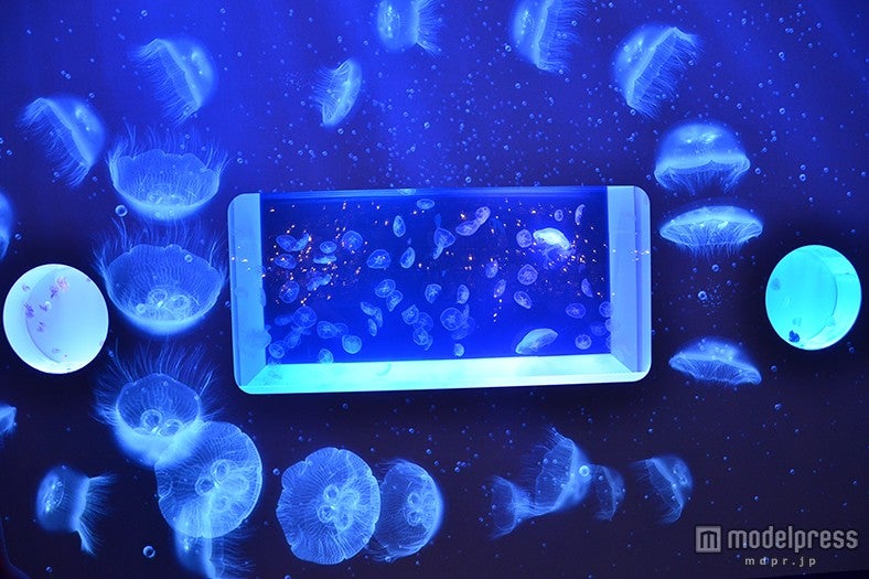 「DREAM AQUARIUM」