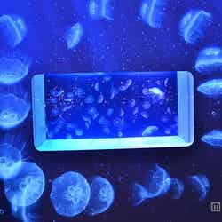 「DREAM AQUARIUM」