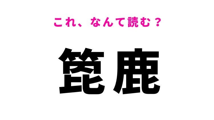 【漢字クイズ】「箆鹿」はなんて読む？「ムース」とも呼ばれている動物です！