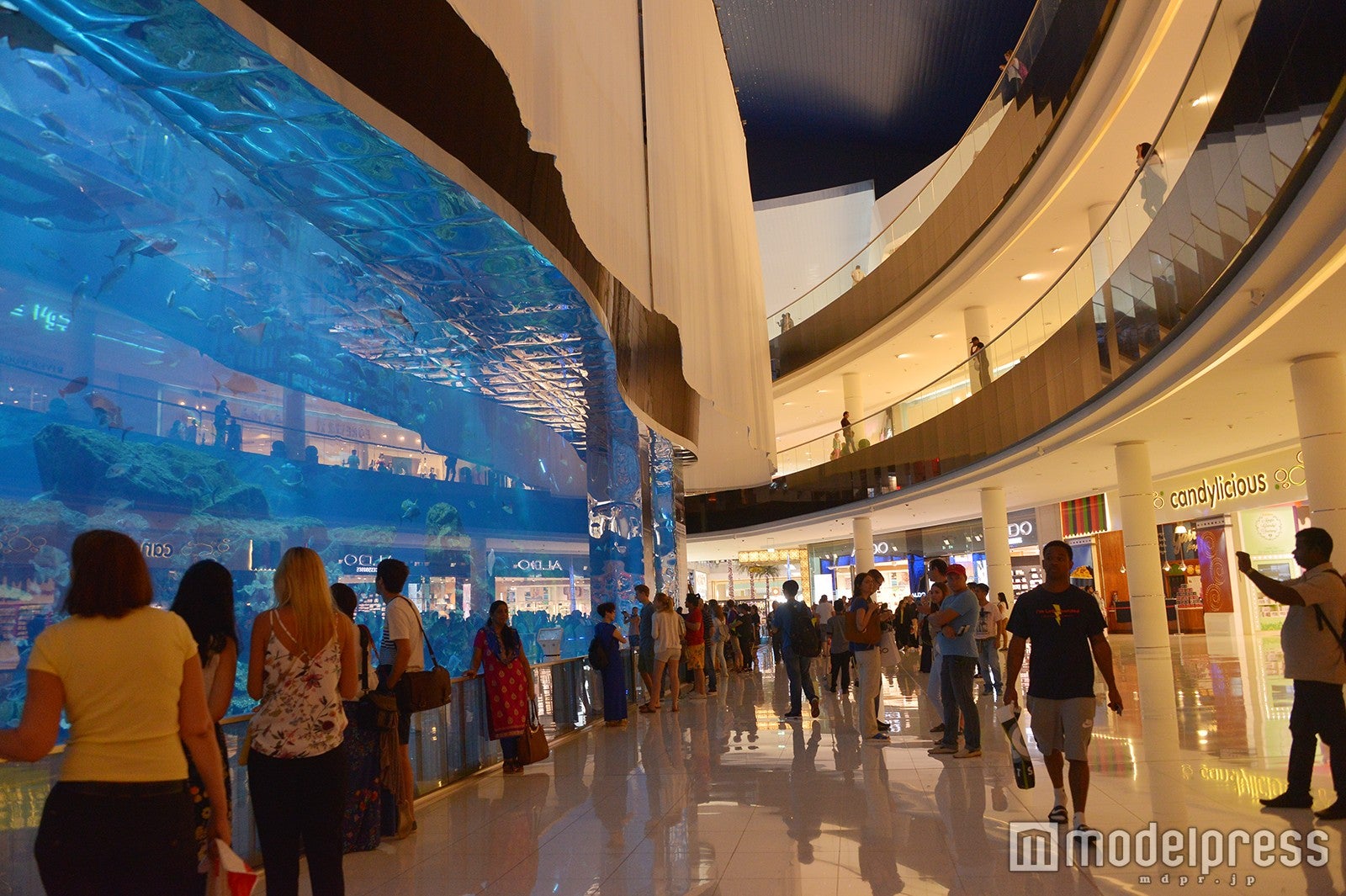 「ドバイ・モール」内にある巨大水槽（C）モデルプレス