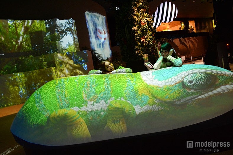 （手前から）4種の動物がインタラクティブに動く「モーフィング・ストーン」、ジャングルや滝、火山をダイナミックに表現する「ベースキャンプ」