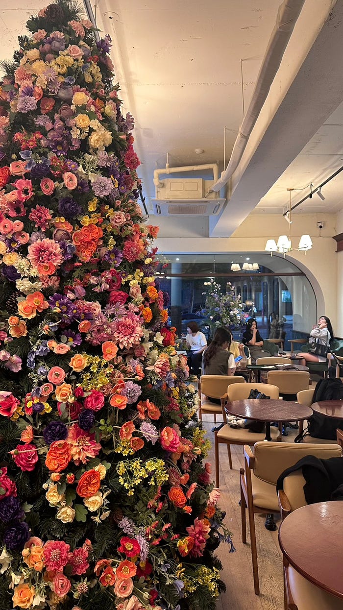 木村恒桜莉「私が韓国でオススメするグルメスポット3選」(提供写真)