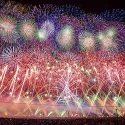 1万8000発が夜空を華やかに彩る!日本三大花火大会「大曲の花火」開催/画像提供:全国花火競技大会実行委員会