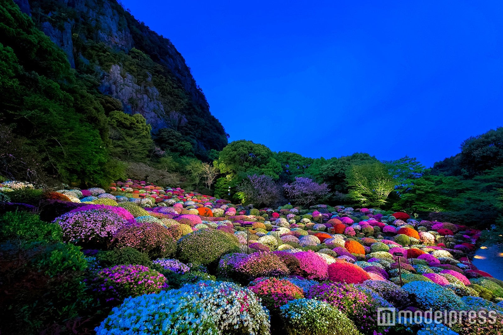 ／御船山観光ホテル