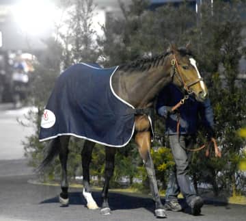 【新馬戦】ドナディクオーレ じっくり仕上げた 荻野極「上手に走ってくれそう」伯母に超名牝ジェンティルドンナ