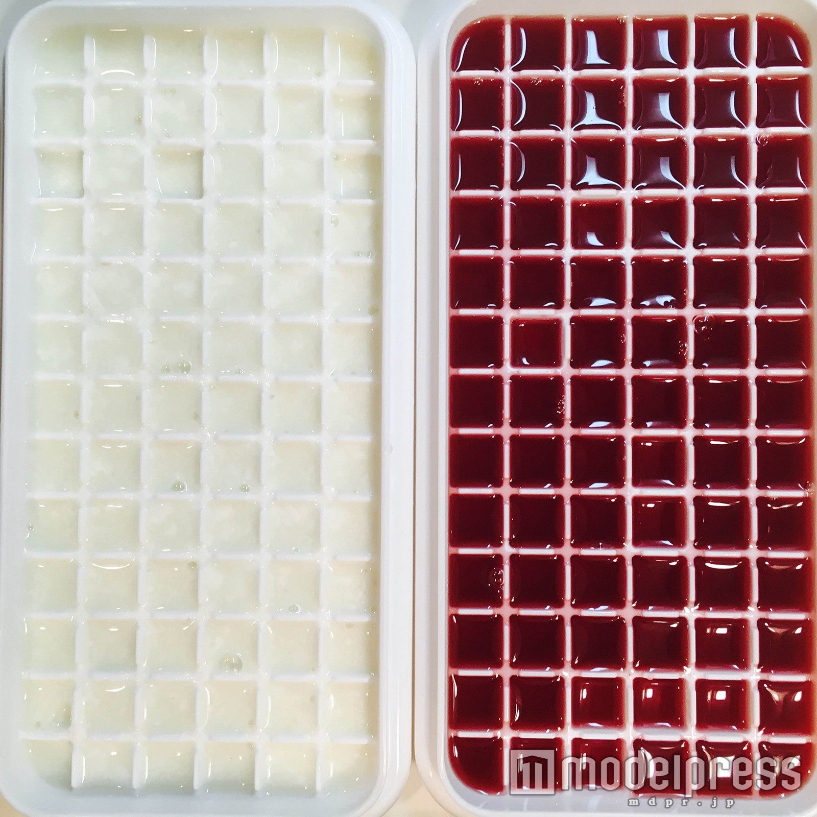 製氷機の型に流して／画像提供：柏原歩